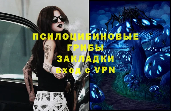 дживик Алексеевка