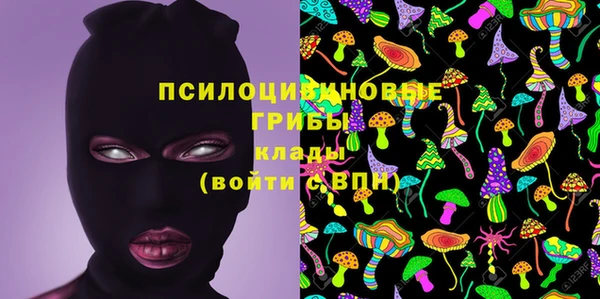 мяу мяу кристалл Алексин
