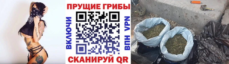 Купить закладки  Полевской  Псилоцибиновые грибы Psilocybine cubensis 